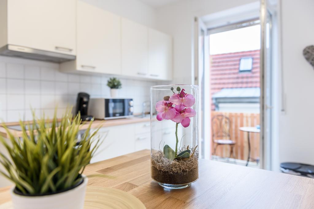 Deluxe Apartment Mit Schlossbergblick Friburgo in Brisgovia Esterno foto